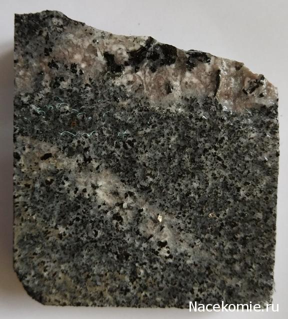 Компания кладоискателей. Болталка форума Минералов