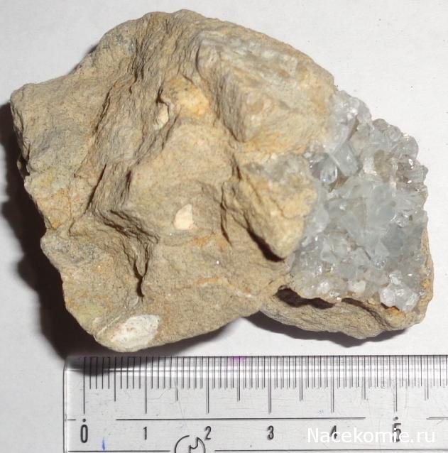 Компания кладоискателей. Болталка форума Минералов