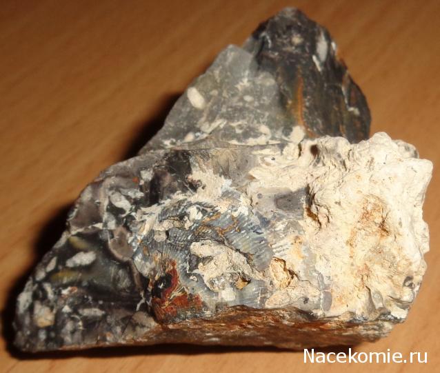 Компания кладоискателей. Болталка форума Минералов