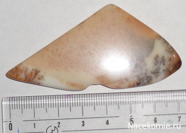 Компания кладоискателей. Болталка форума Минералов