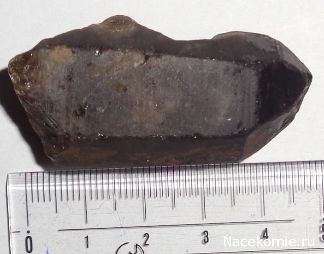 Компания кладоискателей. Болталка форума Минералов