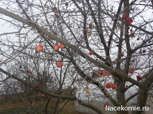 Куклы в народных костюмах – "Девчушки-болтушки"