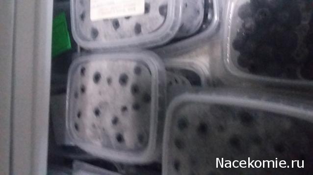 Кулинарный отдел