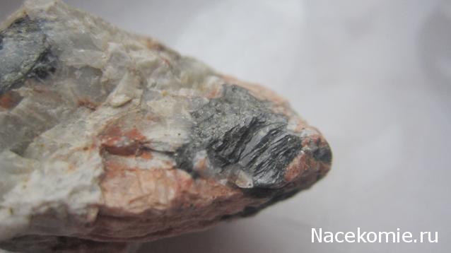 Компания кладоискателей. Болталка форума Минералов