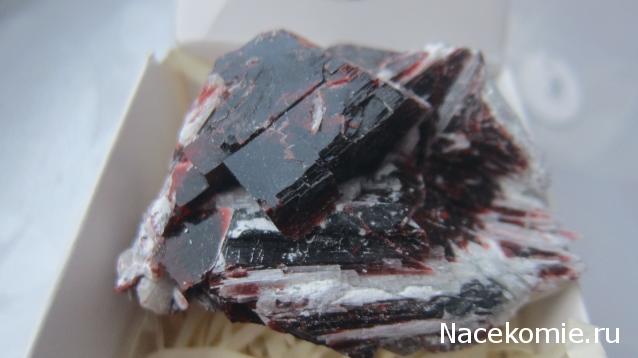 Компания кладоискателей. Болталка форума Минералов