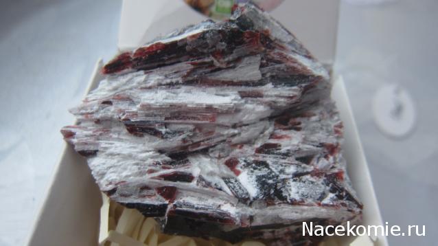 Компания кладоискателей. Болталка форума Минералов