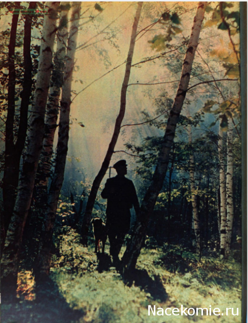 Тракторная болталка