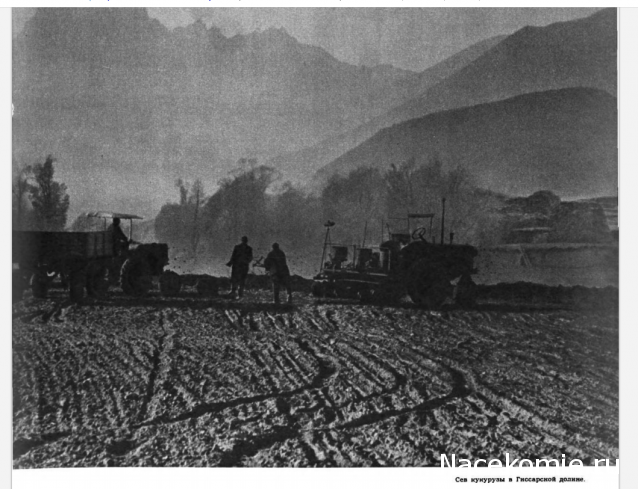 Тракторная болталка