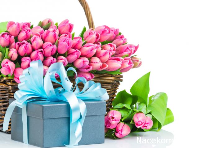 arenzodream - Как важно быть несерьезным... Много домиков хороших и разных...