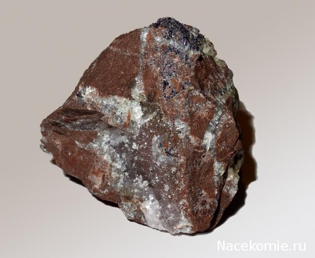 Компания кладоискателей. Болталка форума Минералов