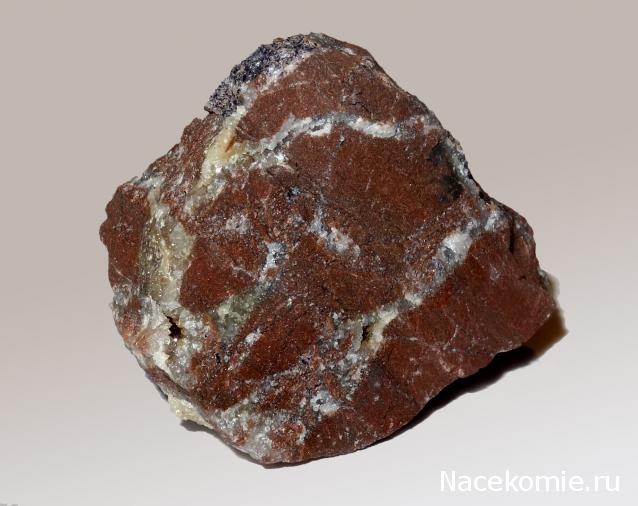 Компания кладоискателей. Болталка форума Минералов