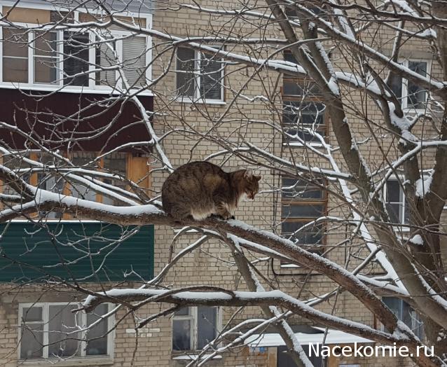 "Живой уголок"