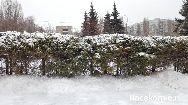 "Живой уголок"