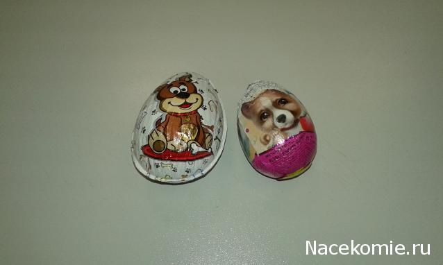 "Живой уголок"