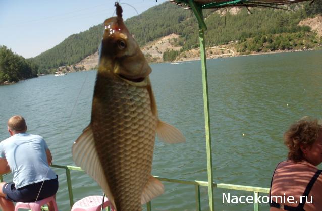 Кулинарный отдел