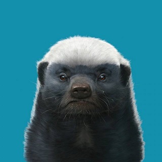 "Живой уголок"