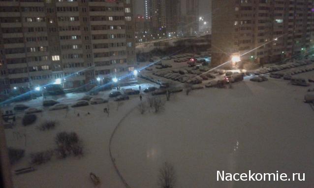 "Живой уголок"