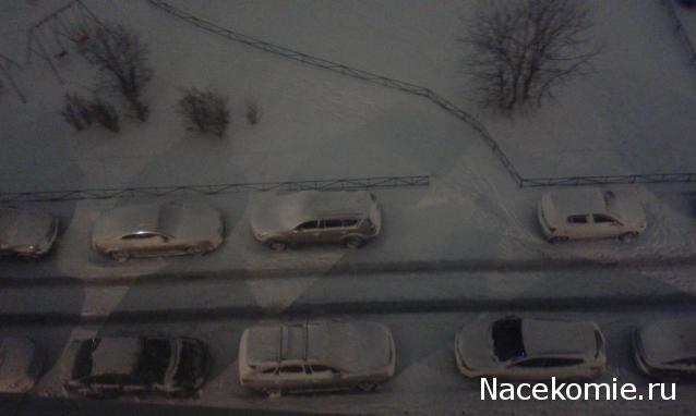 "Живой уголок"