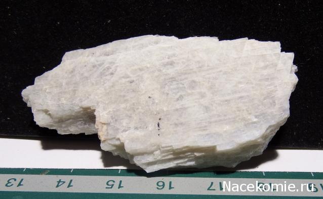 Компания кладоискателей. Болталка форума Минералов