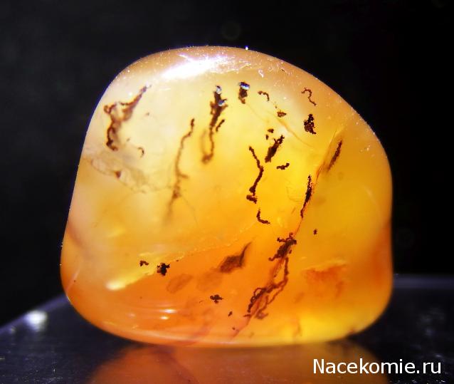 Минералы Подземные Богатства №18 - Сердолик