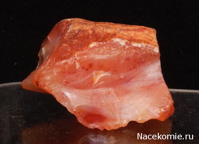 Минералы Подземные Богатства №18 - Сердолик