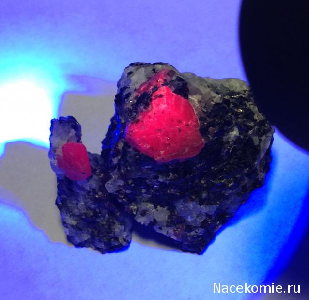 Компания кладоискателей. Болталка форума Минералов