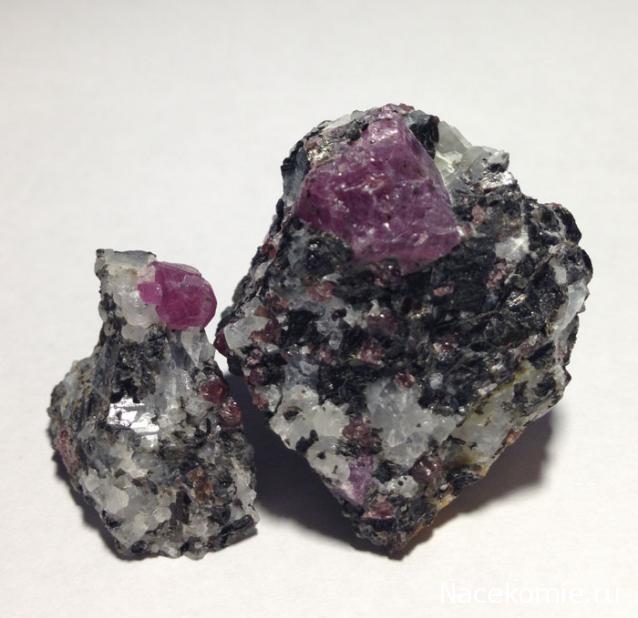 Компания кладоискателей. Болталка форума Минералов