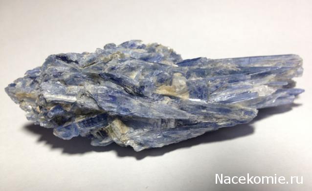 Компания кладоискателей. Болталка форума Минералов