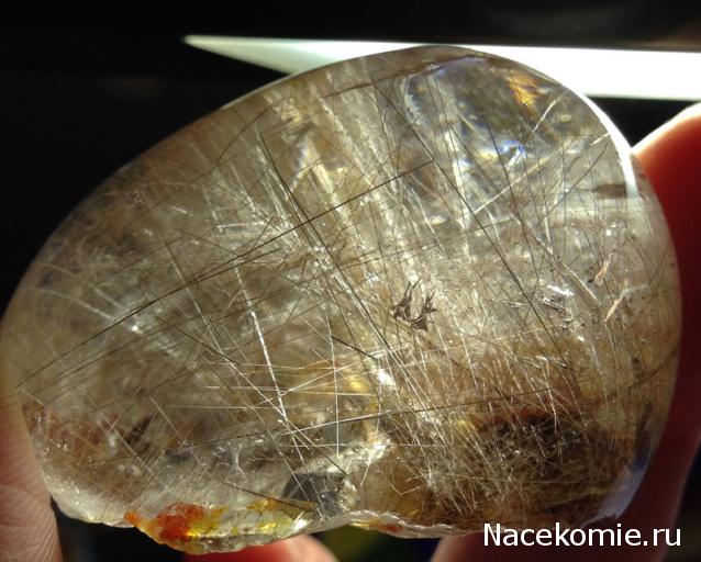 Компания кладоискателей. Болталка форума Минералов