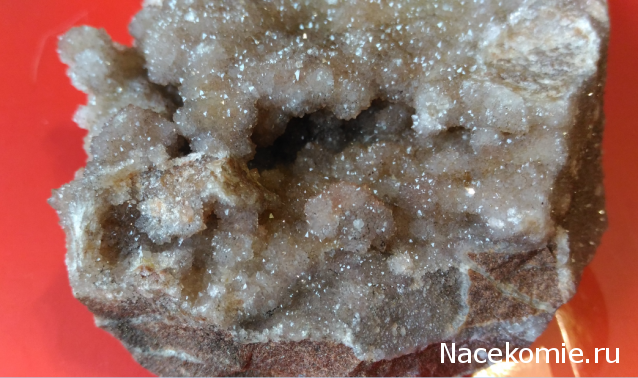 Компания кладоискателей. Болталка форума Минералов