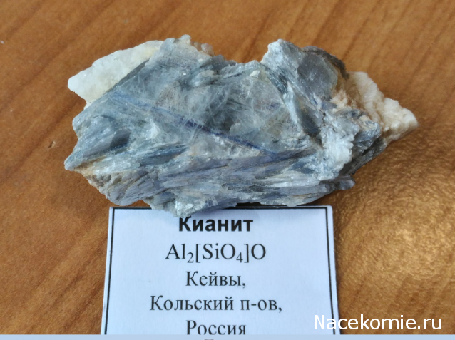 Компания кладоискателей. Болталка форума Минералов