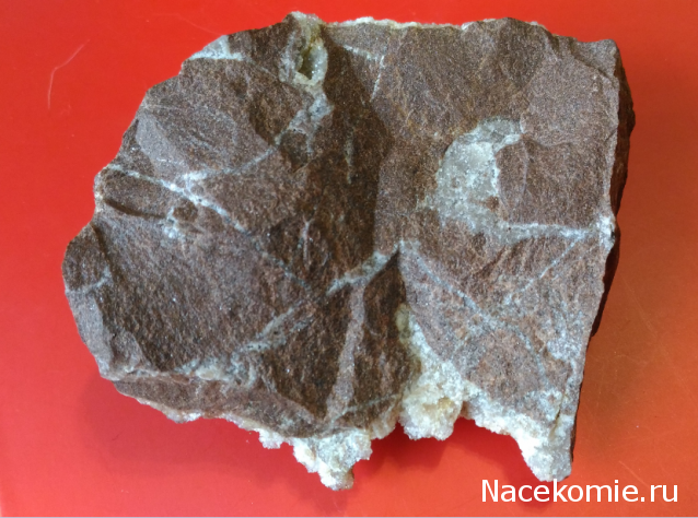 Компания кладоискателей. Болталка форума Минералов