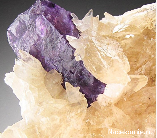 Компания кладоискателей. Болталка форума Минералов