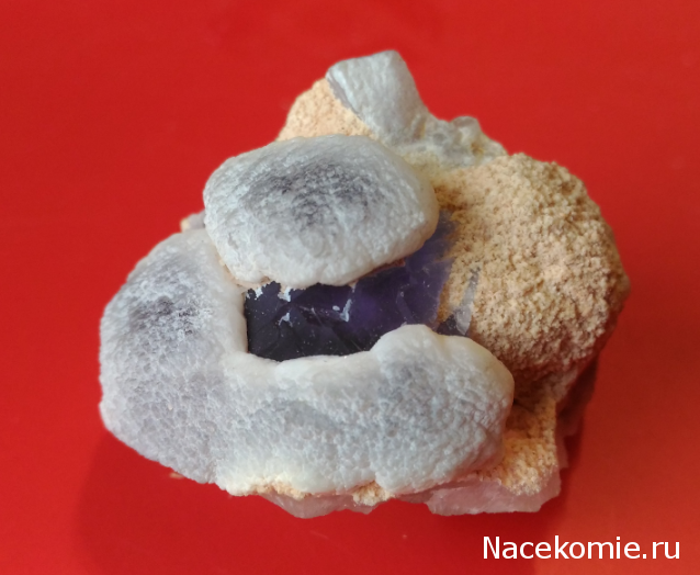 Компания кладоискателей. Болталка форума Минералов