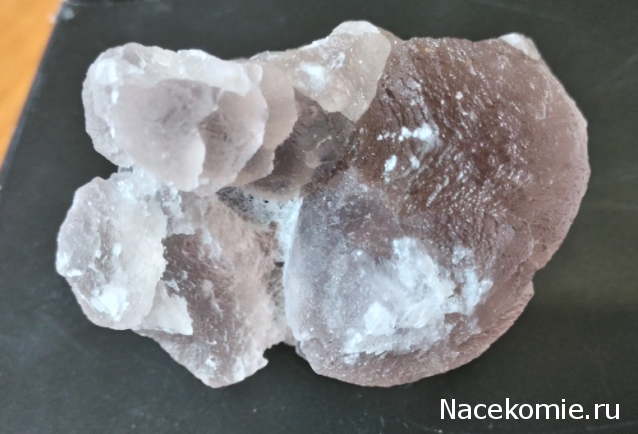 Компания кладоискателей. Болталка форума Минералов