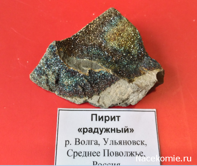 Компания кладоискателей. Болталка форума Минералов