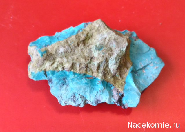 Компания кладоискателей. Болталка форума Минералов