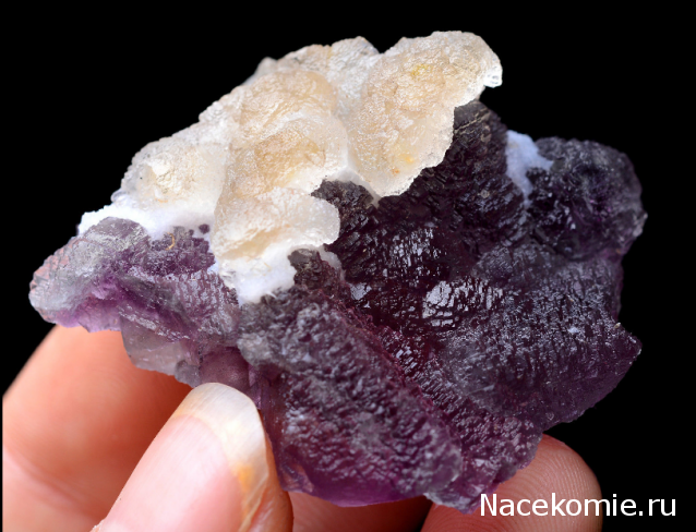 Компания кладоискателей. Болталка форума Минералов