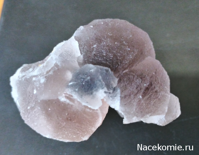 Компания кладоискателей. Болталка форума Минералов