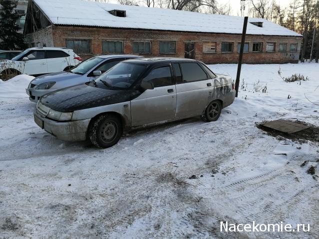 Автолегенды вживую