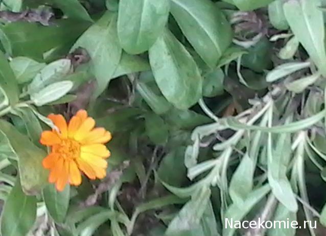 Куклы в народных костюмах – "Девчушки-болтушки"