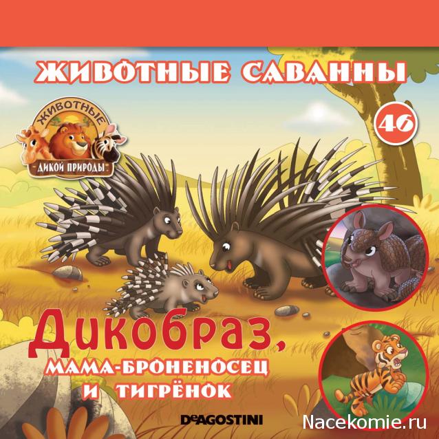 Животные Дикой Природы №46 - Самка Броненосца Нинна и Детеныш Тигра