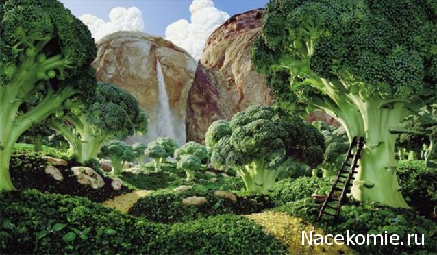 Кулинарный отдел