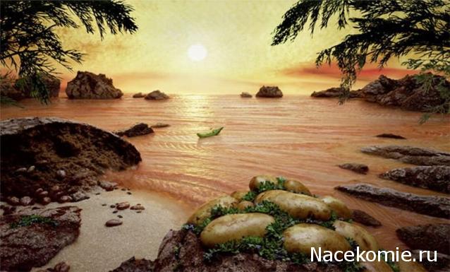 Кулинарный отдел