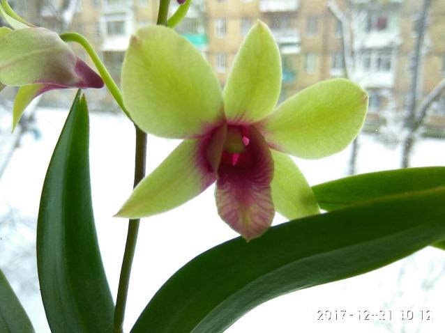 "Живой уголок"