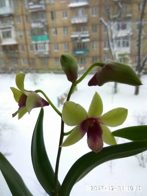 "Живой уголок"