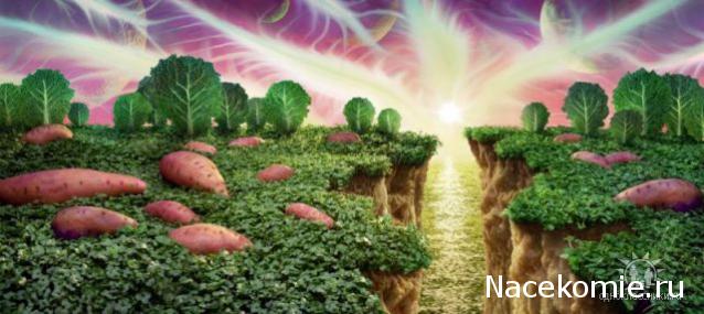 Кулинарный отдел