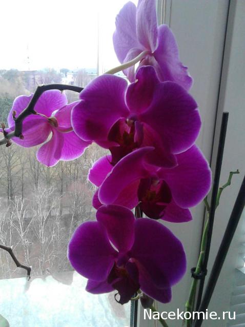 Тракторная болталка