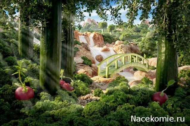 Кулинарный отдел