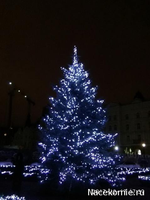 "Живой уголок"